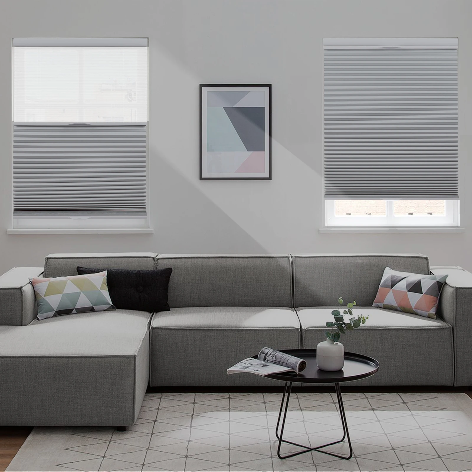 Persilux Day/Night Cellular Shades, Blackout Top Down Bottom Up Honeycomb Blinds for Windows, Cordless Window Shades with Sheer