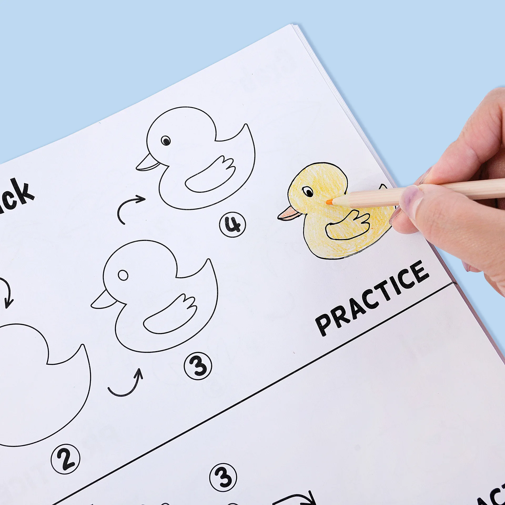 Creative Animal-Themed Cartoon Fun Doodles Simple Sketch Drawing Book, Educational Early Learning Coloring Book for Students