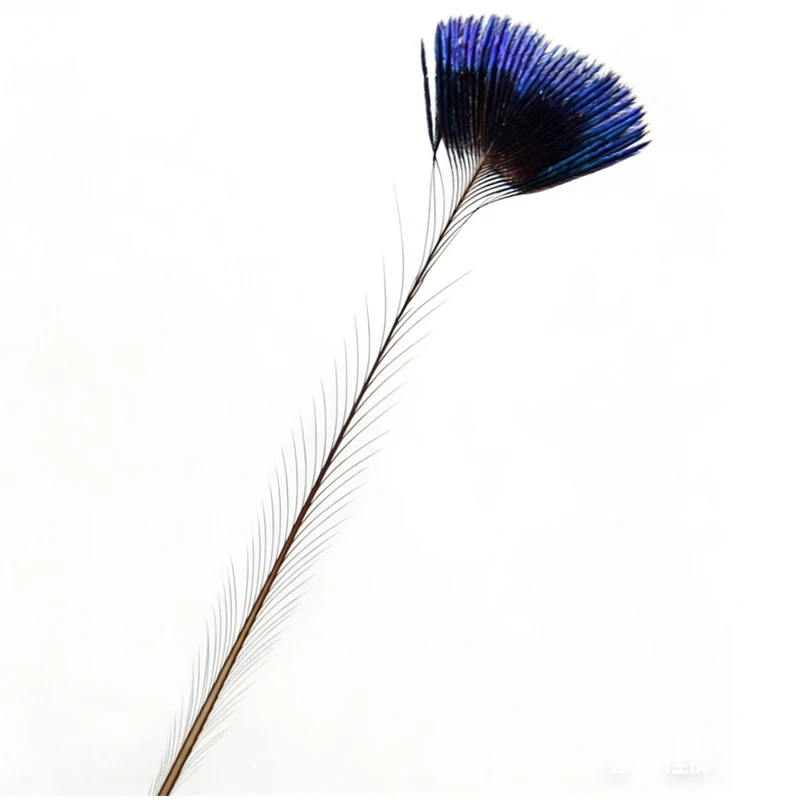 Rare Feathers! 10Pcs/Lot 5-6cm Long NATURAL PEACOCK CROWN FEATHERS-Fly Tying Material,Rare Peacock Feathers