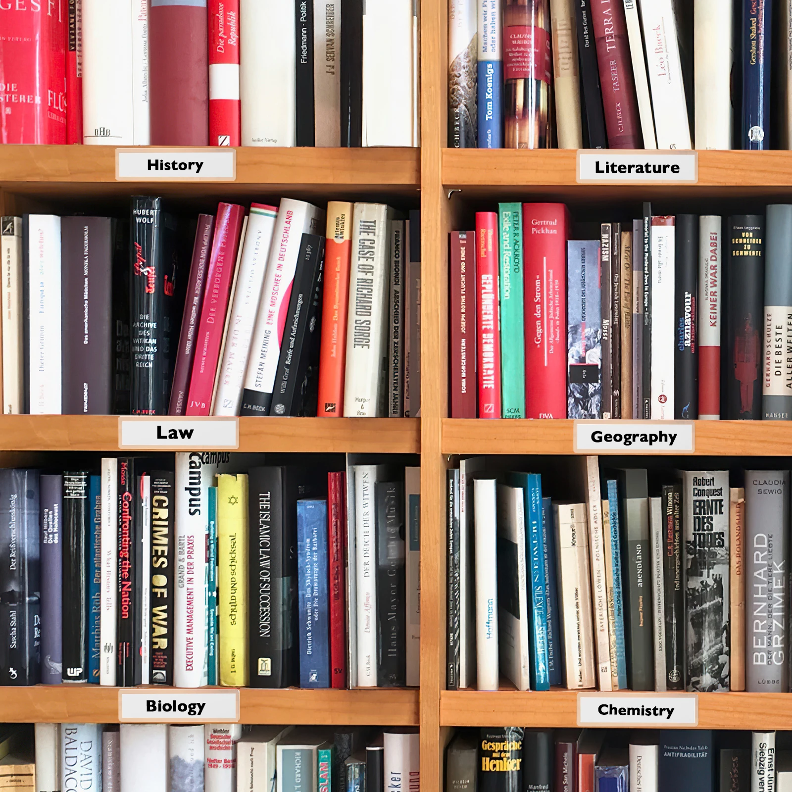 50 قطعة من حوامل الملصقات الشفافة، جيوب لاصقة، سهلة الاستخدام لتنظيم المنزل والمكتب والمدرسة، جيوب لاصقة #2