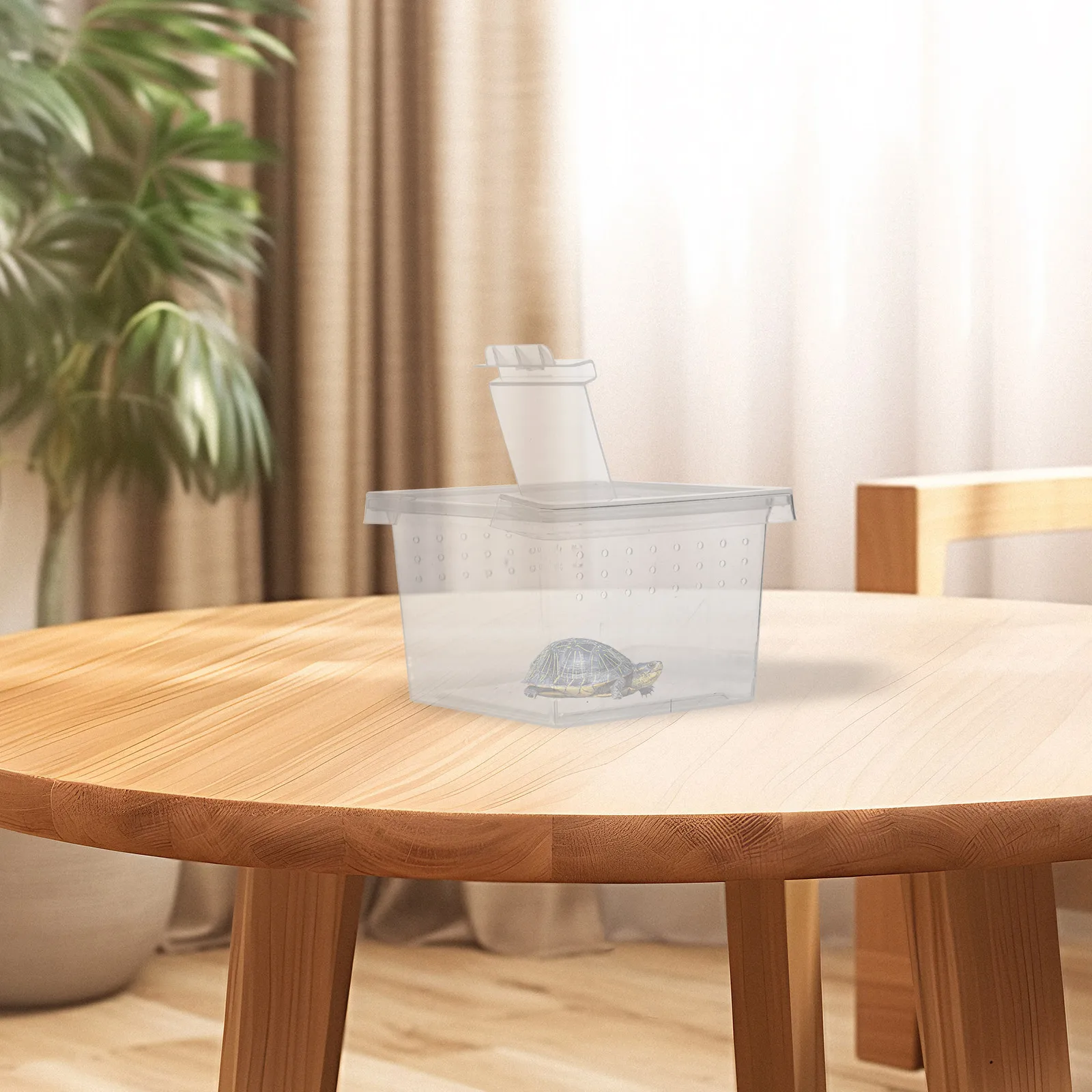 

20 Pcs Observation Box Insect Feeding Clear Containers 6 5x6 5x4 5cm Spider Terrarium Gecko Tank Breathing Holes Portable