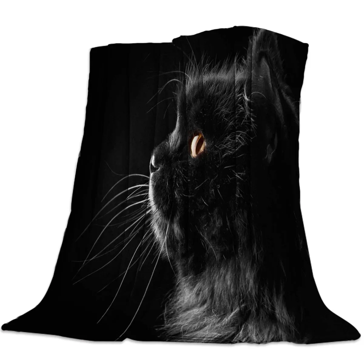 القط الأسود مع الشعر غامض الفانيلا بطانية ل أريكة تتحول لسرير المحمولة لينة رمي البطانيات أفخم المفارش لغرفة النوم أريكة الأريكة #2