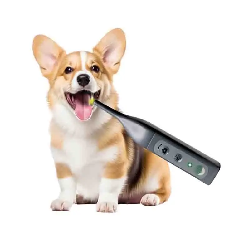 High Definition Endoscope Reusable Teeth Care Clinic Tool for Smartphone PC IOS Android Featuring Dog Design