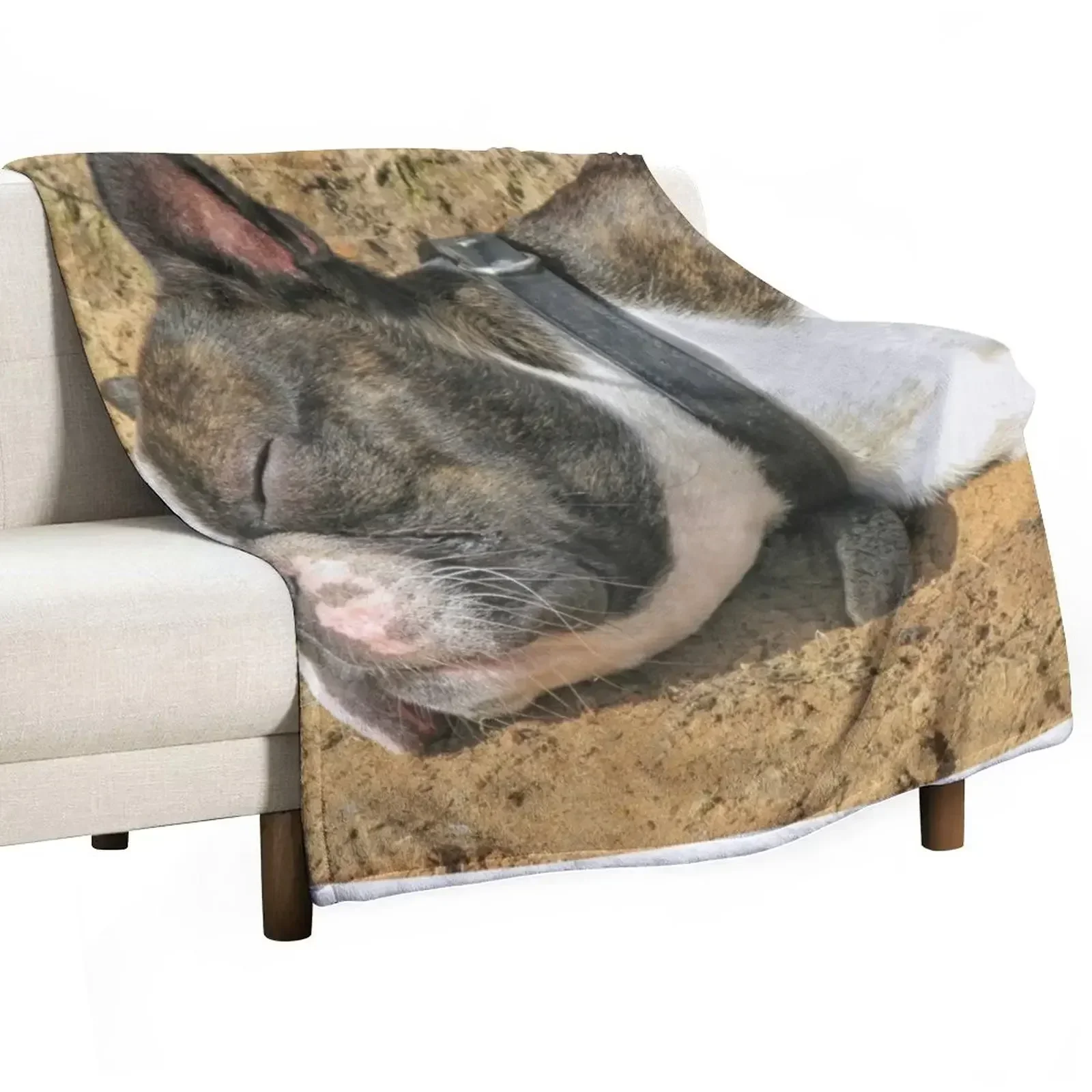 

Boston Terrier sleeping Throw Blanket Vintage Retros Shaggy Blankets