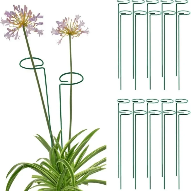 Yeni Bahçe Desteği Kazık Halkası Metal Bahçe Tesisi Bitkiler için Tek Kök Çalı Tutucu Destekler Gül Çiçekler Sebze Asma 3 adet