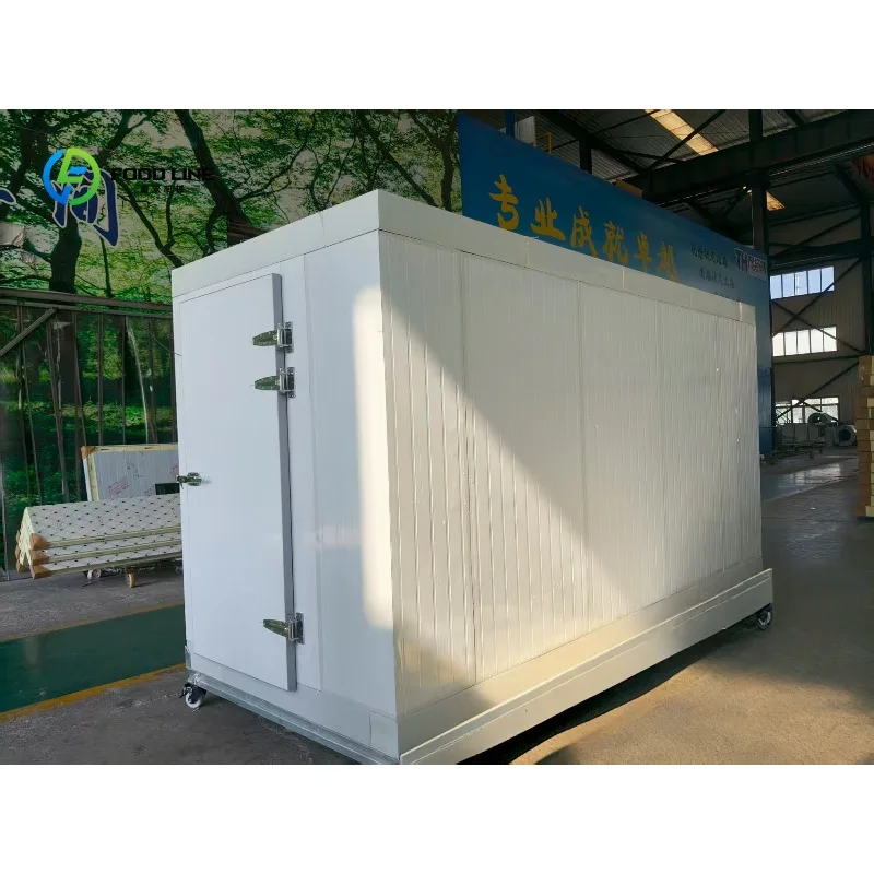 Small Size Mobile Walk in Freezer with Wheel Coldroom with Monoblock Condensing Unit Refrigeration System Customized