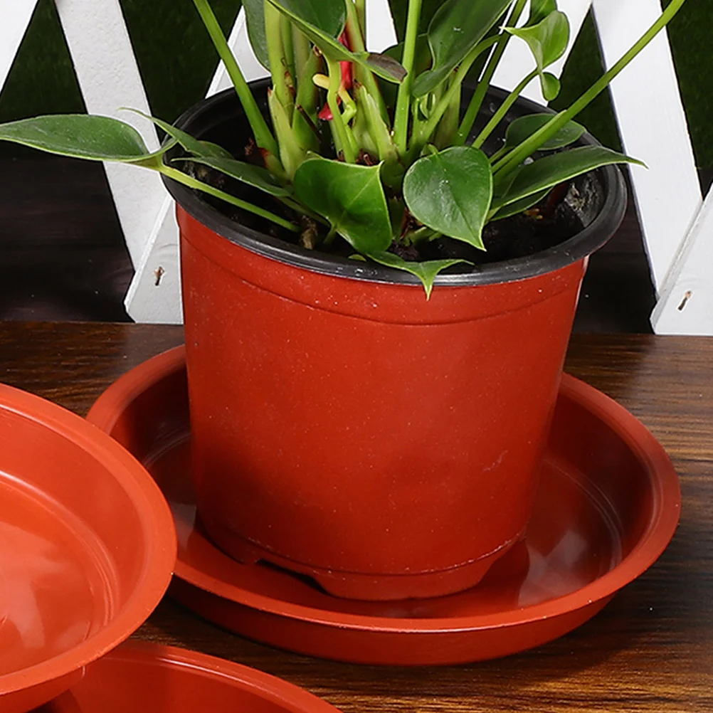 Bandeja de macetas para plantas de interior, platos de bonsái para atrapar agua, accesorios de Pp, platillos de flores, 10 piezas
