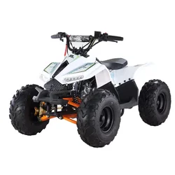 4 Stroke 49cc 110cc 125cc 150cc Petrol Semi-automatic Off-road Quad Kids Mini ATV