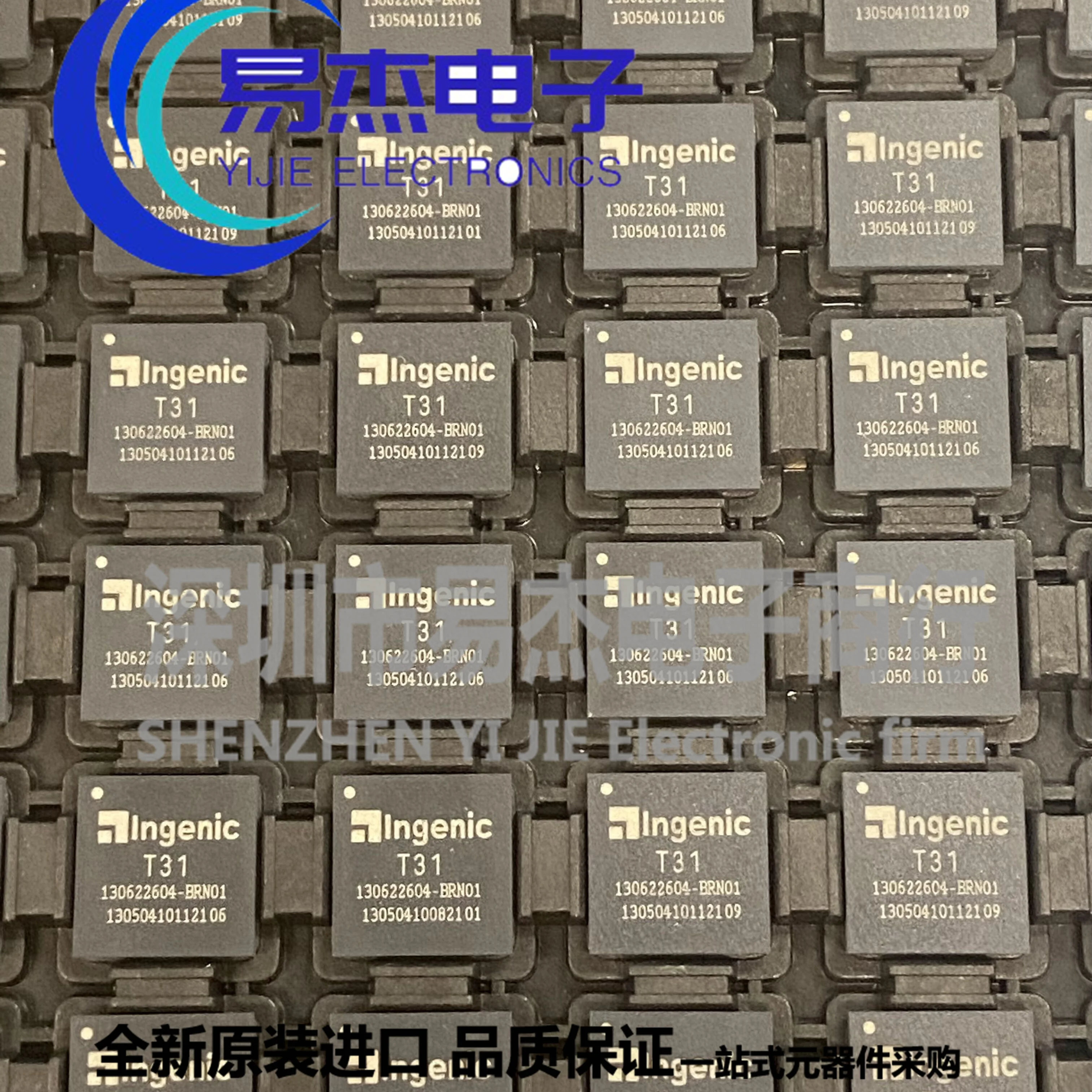 T31N T31A T31L T31X T31Z T31ZL T31ZX T31ZC T31 Universal equalizing video processor IC