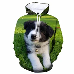 Border Collie bluza z kapturem z kapturem i psem 3d z nadrukiem gorąca sprzedaż bluza wiosenne jesienne bluzy dziecięce męskie ubrania