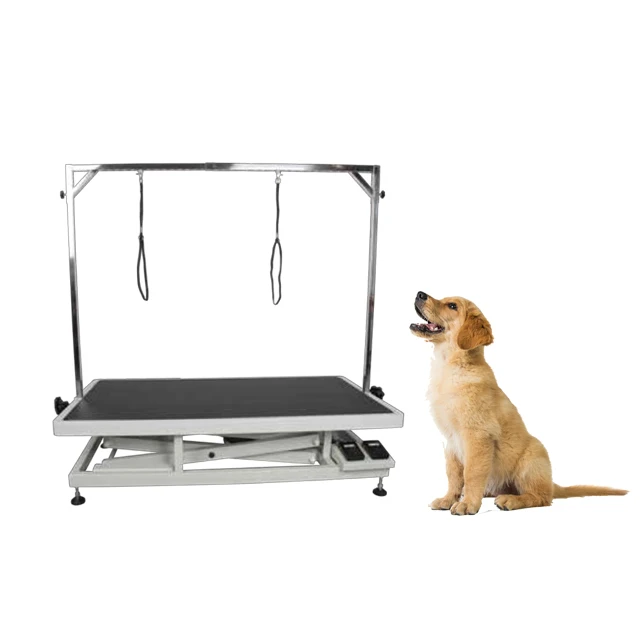 Adjustable Hydraulic Pet Grooming Table Dog Grooming Table Electric