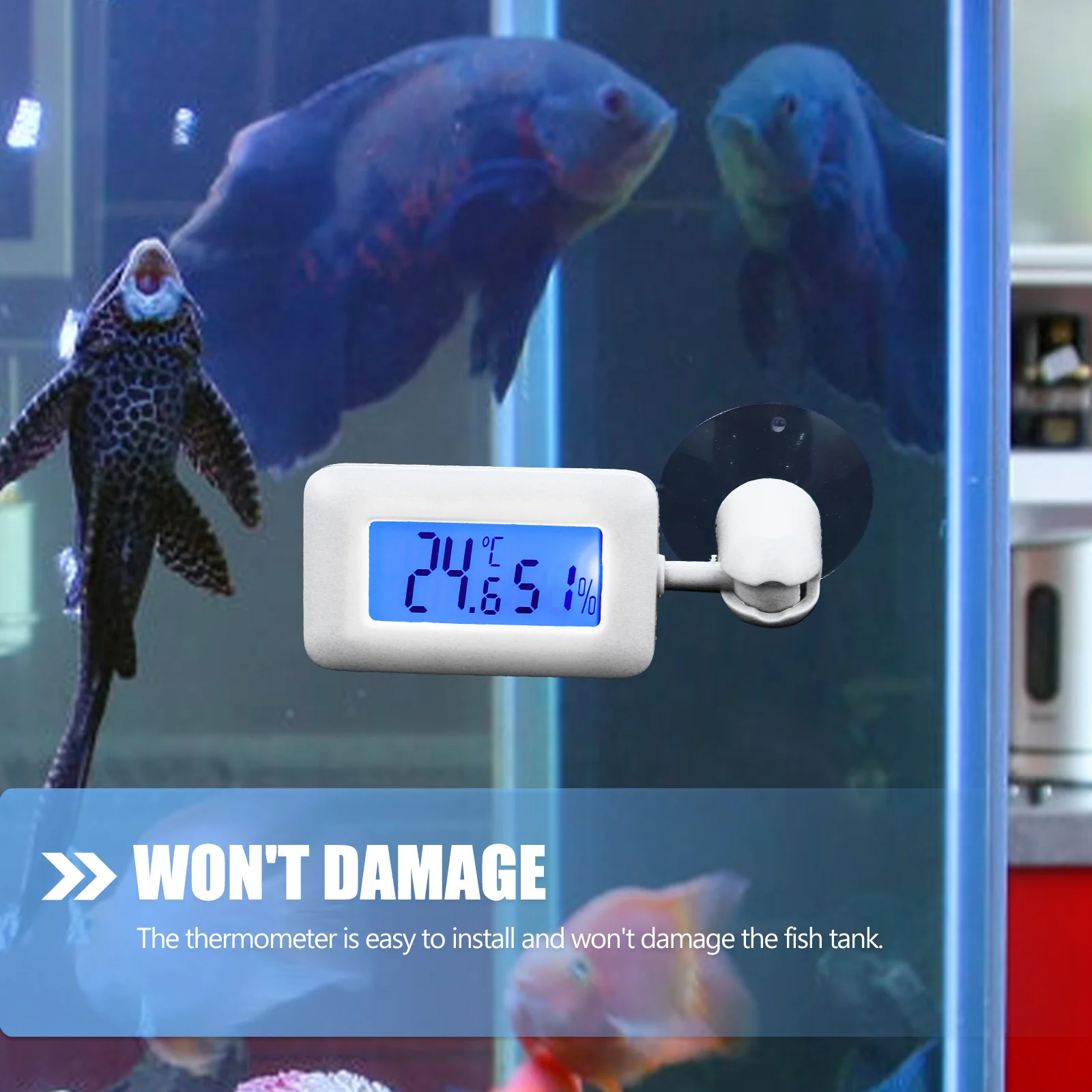 Reptile Hygrometer Thermometer Terrarium Suction Cup Temperature Measuring Device Leopard Gecko Tank Accessories Compact