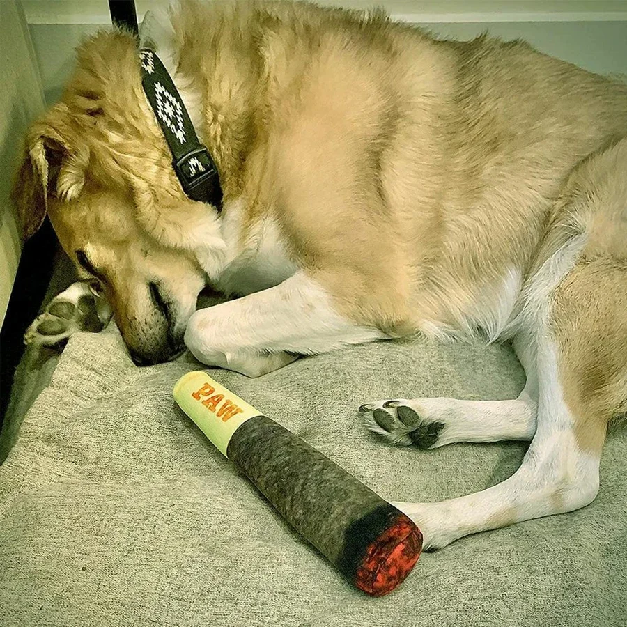Funny Interactive Dog Toys - Cigar Design Plush Squeaky Pet Toys Grinding Teeth Creative Chew Toy For Small Medium Dog image 6