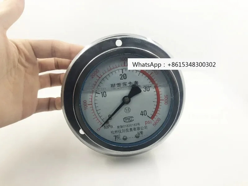 

Hangzhou Yichuan Seismic Pressure Gauge with Axial Band Edge YTN-100ZT Hydraulic Pressure Gauge