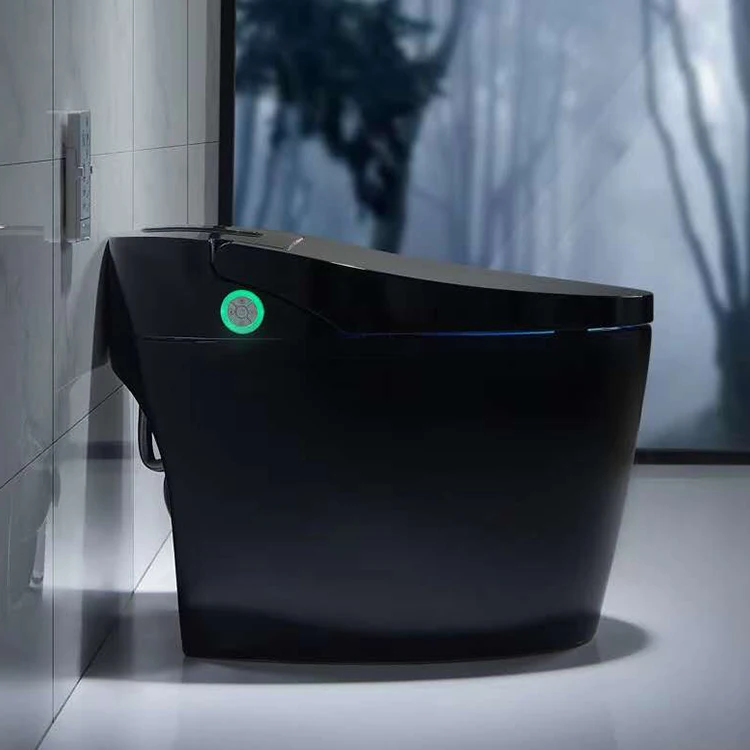 Western Matte Black Color One Piece Ceramic Modern Bathroom Electric Bidet Automatic Smart Wc Intelligent Toilet