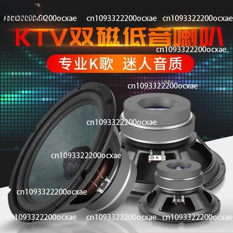 

10 Inch Private Room Professional High Power Karaoke Speaker Dual Magnetic Bass Full Frequency