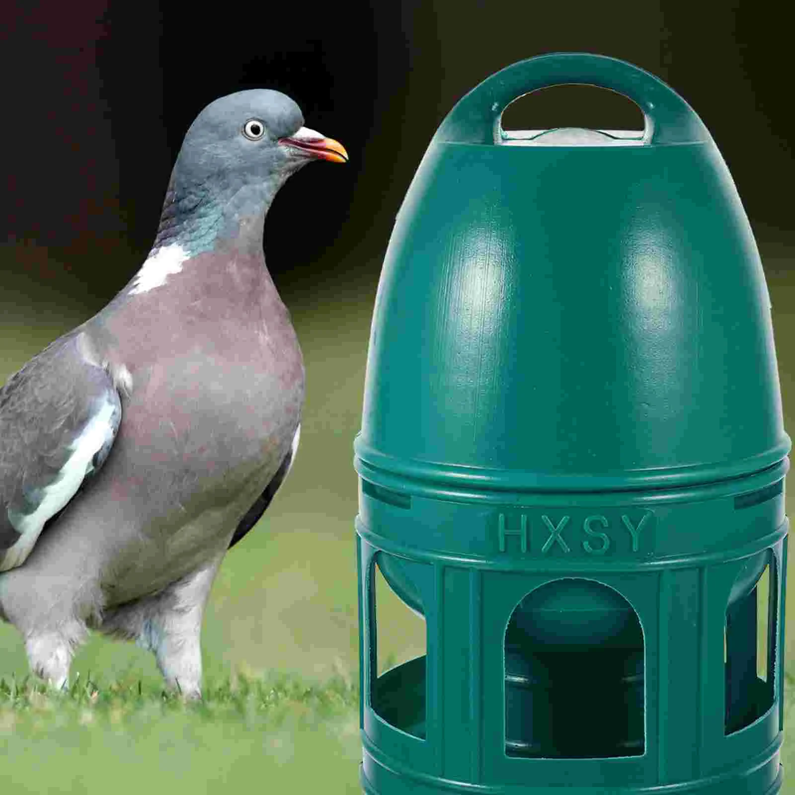 Water Bottle Pigeon Drinking Fountain Pet Household Bird Accessories Feeder Plastic Water Bottle