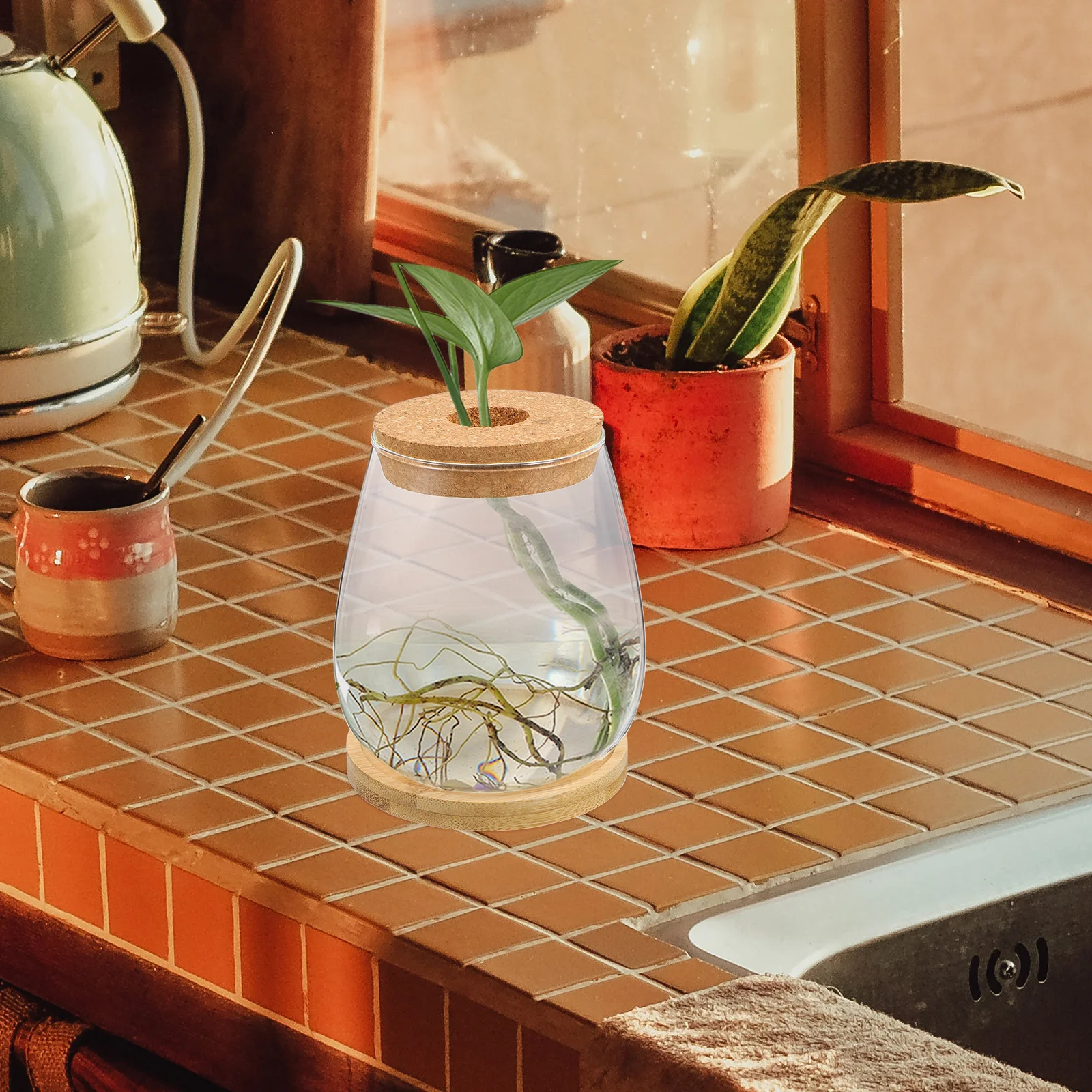 

1 set 1 Set Glass Succulent Vase Clear Flower Arrangement Holder For Wedding Centerpieces Display Green Plants Container