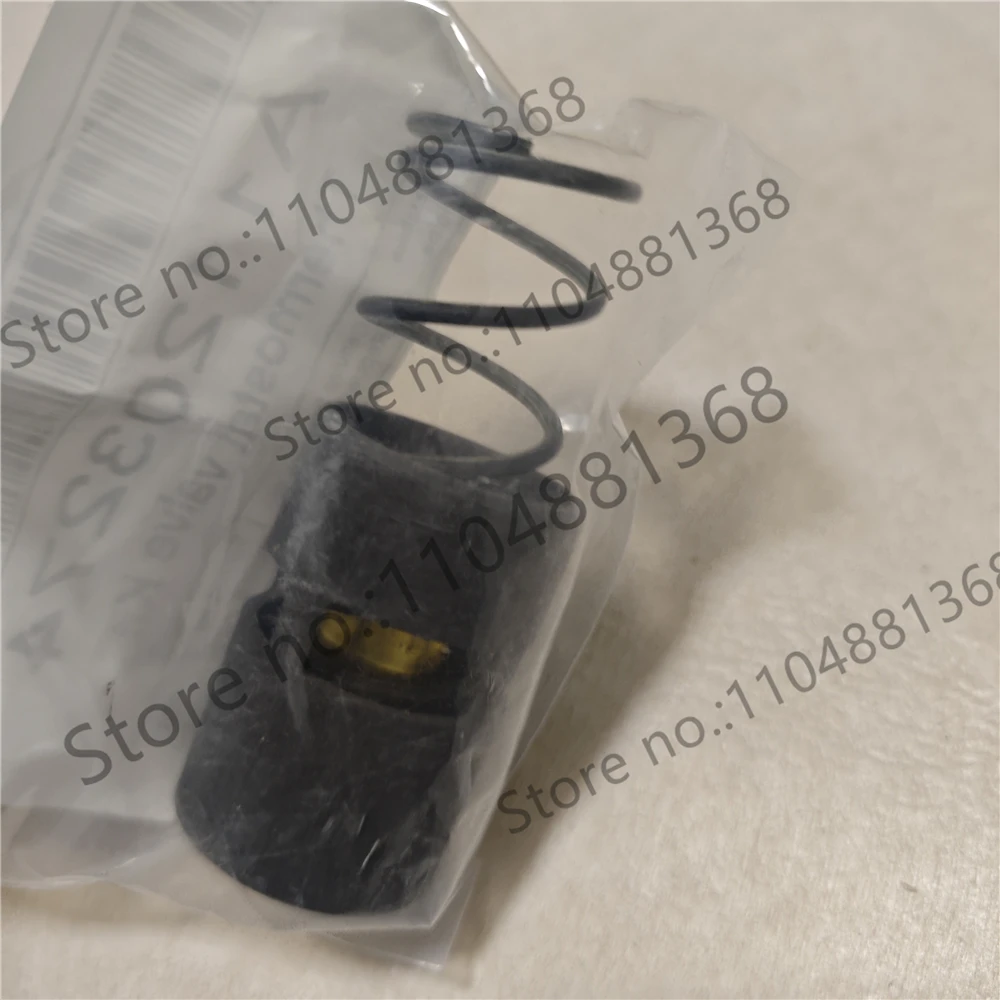2901161600 1619733300 2901006800 1622706401 Thermostat Valve Kit 1pcs