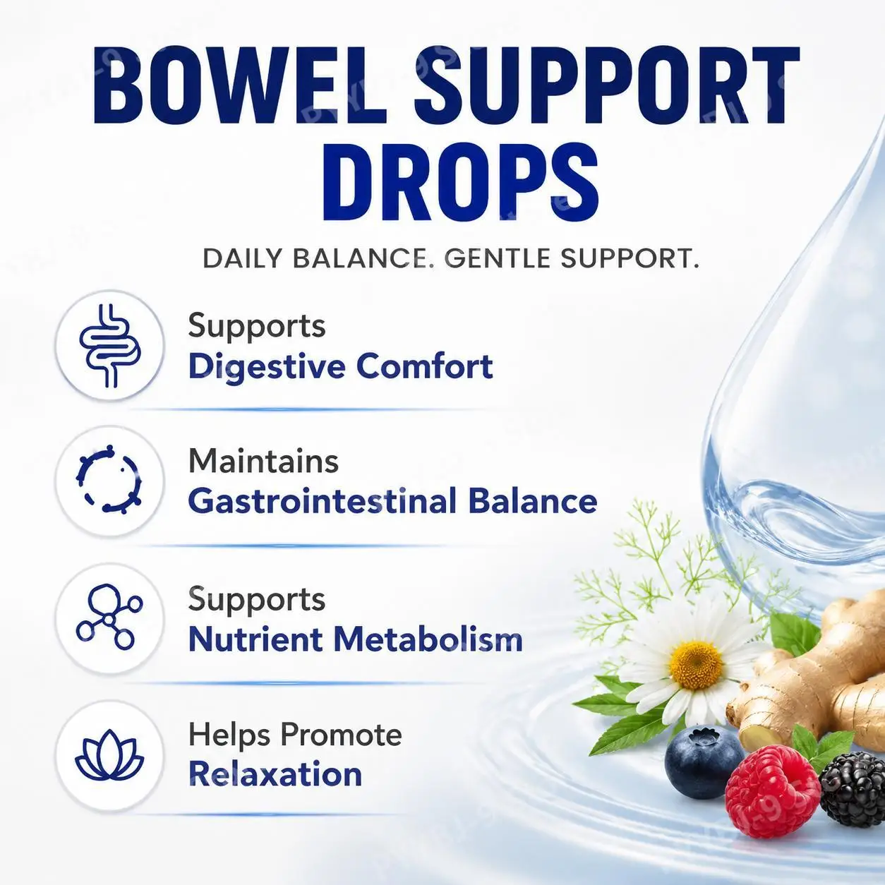 Digestive Comfort Drops with L-Arginine, Ginger, Fennel, Chamomile and Vitamin B6 for Gut Balance and Daily Wellness, 60 mL