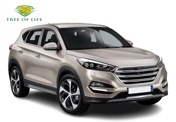 Pizgear Kit De Couvercles Et Buses Lave-phares Pour Hyundai Tucson TL 2015-2020 - Protection Et Esthétique Optimale