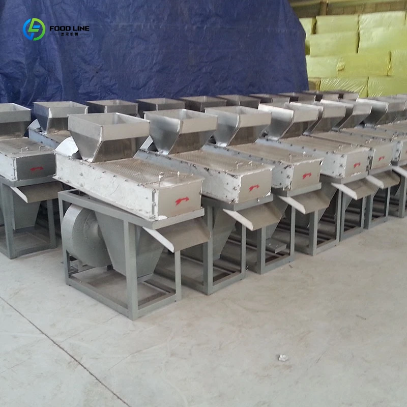 Dry Type Hazelnut Walnut Processing Equipment Cashew Peanut Peeling Machine FL Customized
