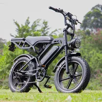 New E-Bike 48v 250watt 500w 1000w E Bike Electric Bike Fat Tire Dirt Ebike Fatbike for Adults Men Women Sales Electric Bicycle