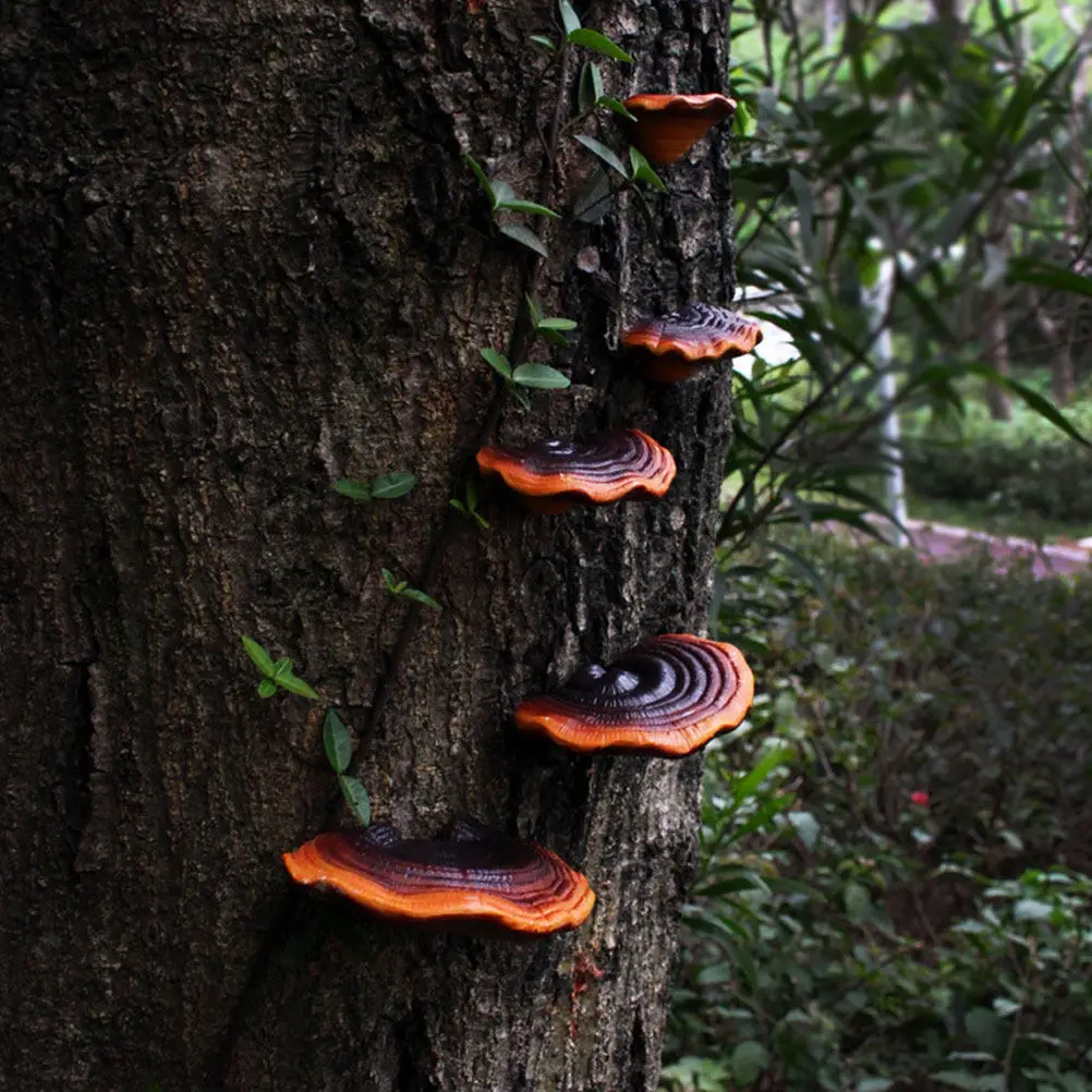 5Pcs Resin Miniature Mushroom Ornaments for Bonsai Micro Landscape Garden Decoration Fairy Garden Indoor Outdoor Micro Resin