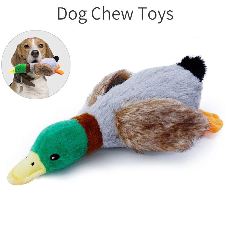 #61 Trending Squeaky Dog Toys Right Now