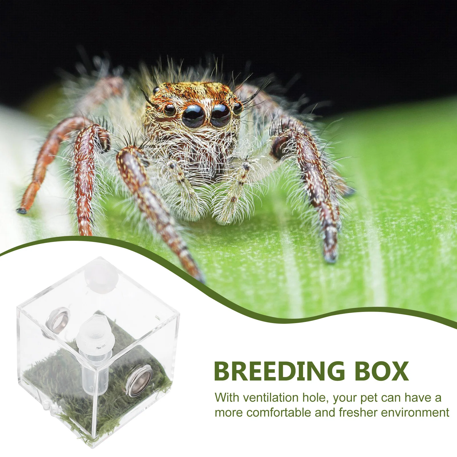 

2Sets Jumping Spider Enclosure Box Transparent Acrylic Breeding Container for Reptile Feeding Habitat Small Pets Storage Case