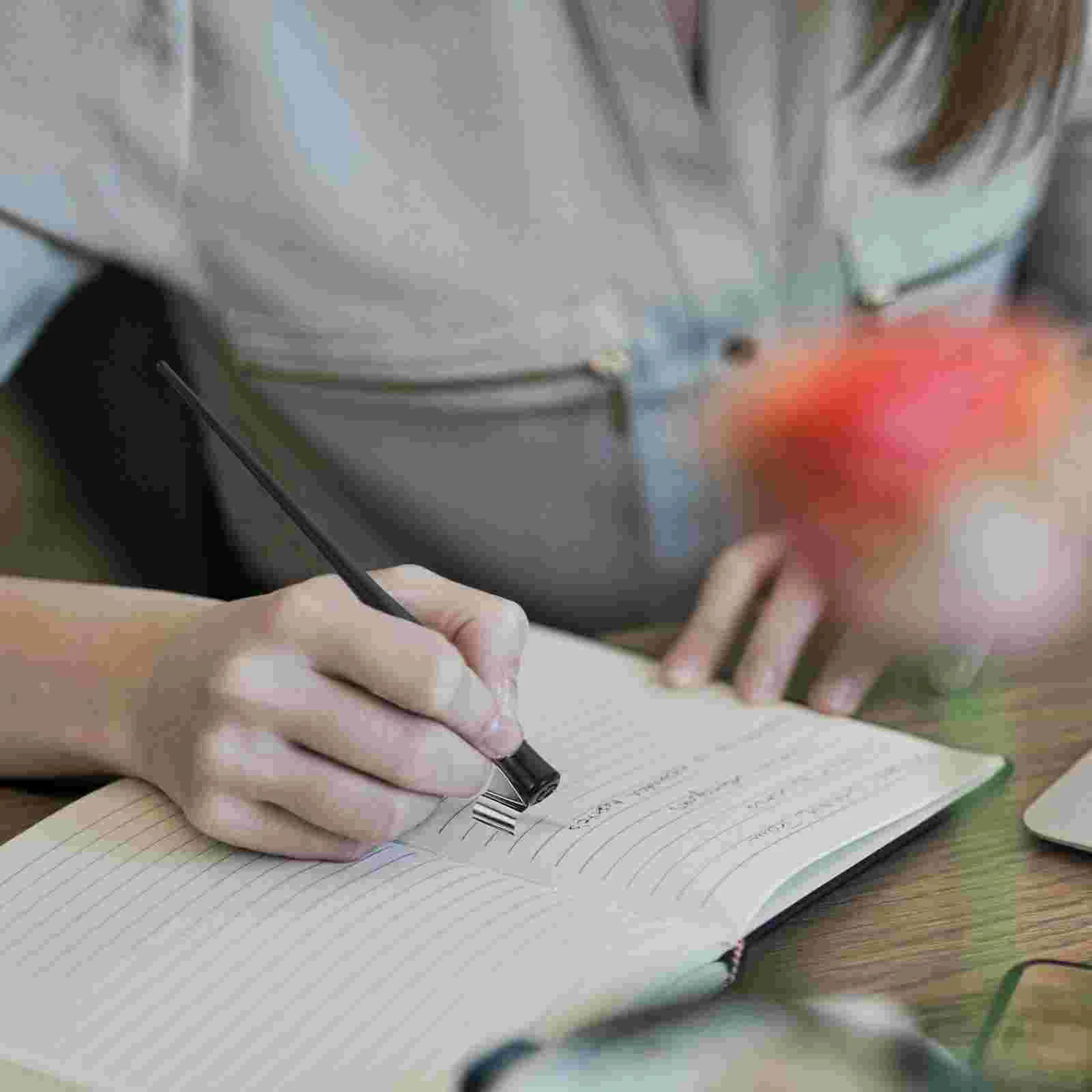 2 Pcs Handle Dip Pen Holder Supplies Office Handles Flowers Calligraphy Writing Accessories