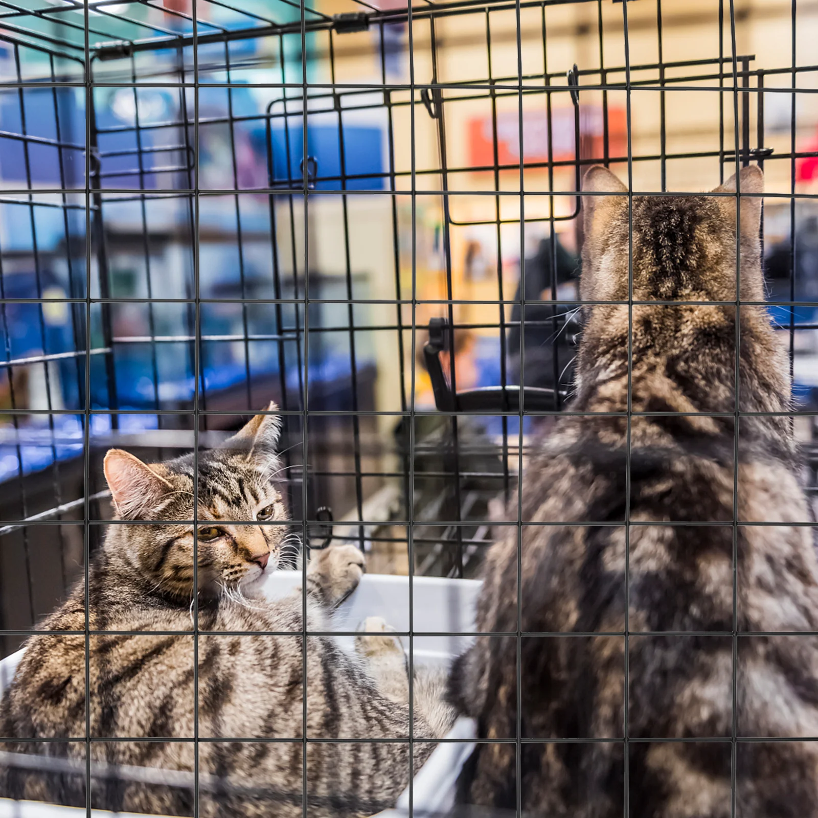 4 قطعة اكسسوارات قفص الحيوانات الأليفة صفائح السياج الحديد Diy بها بنفسك الكلب روضة سياج الدجاج شبكة سلكية لعزل أرنب الحيوانات الأليفة في الهواء الطلق