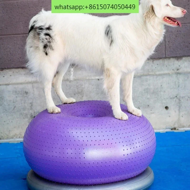 

Pet Donut Ball Fitness Sports Rehabilitation Arch Back Correction Posture