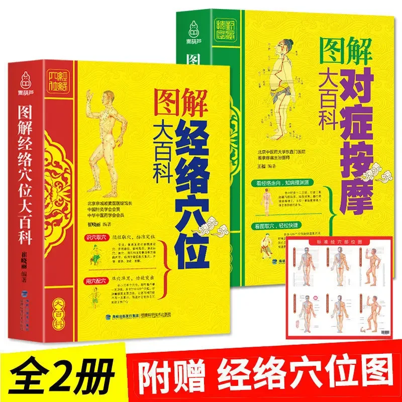 

Traditional Chinese Medicine Health Basic Theory Diagram Meridians Symptomatic Massage Tutorial Whole Body Acupoint Books