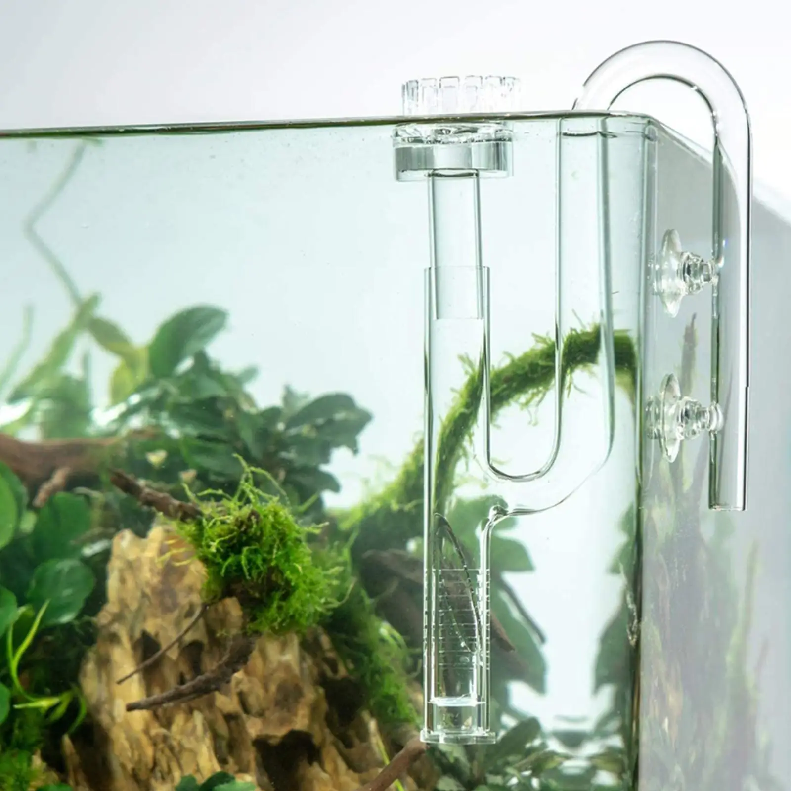 Clear Aquarium Lily Inflow Outflow Skimmer Water Tank Filter