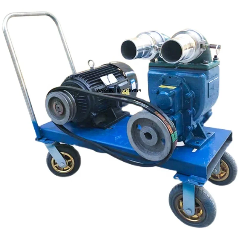 

China Manufacture Slurry Pump for Sewage Waste for Sale Pump Automatic Manure Machine Slurry Pump Supplier