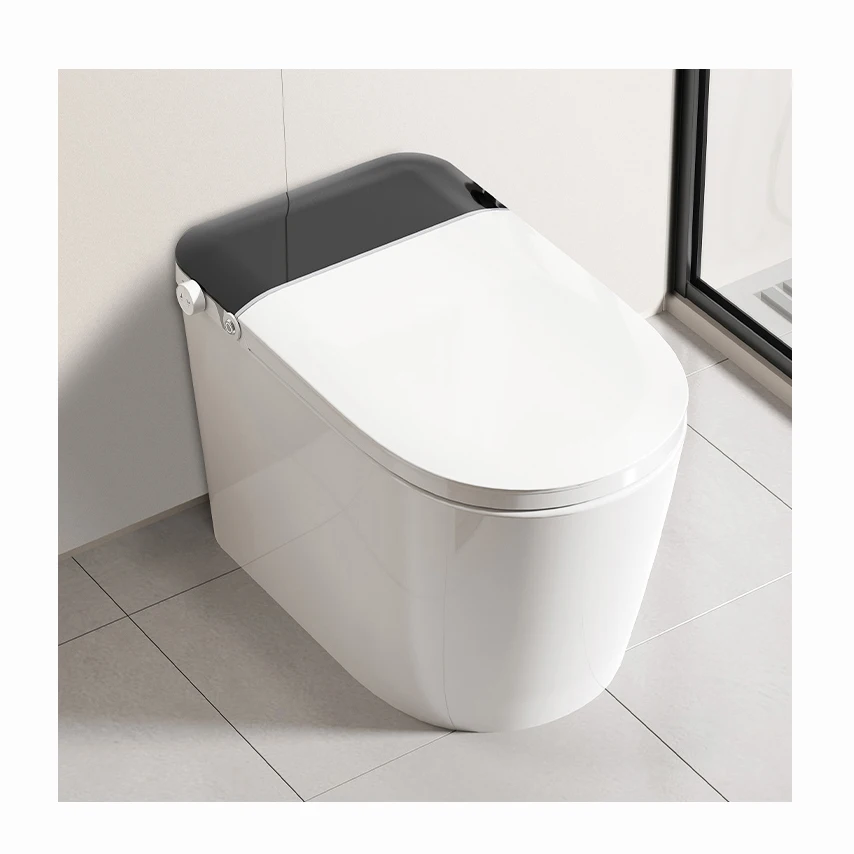 Intelligent Sanitar… - image