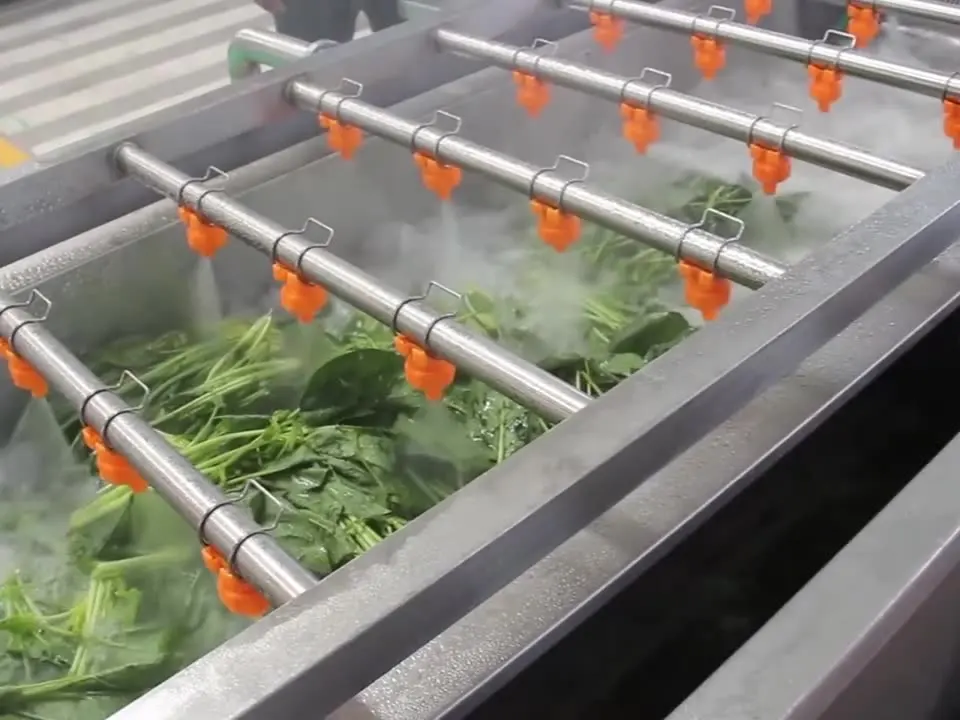 산업용 완전 자동 공기 거품 야채 세탁기, 식품 및 과일 세탁기, 100-3000 kg/h