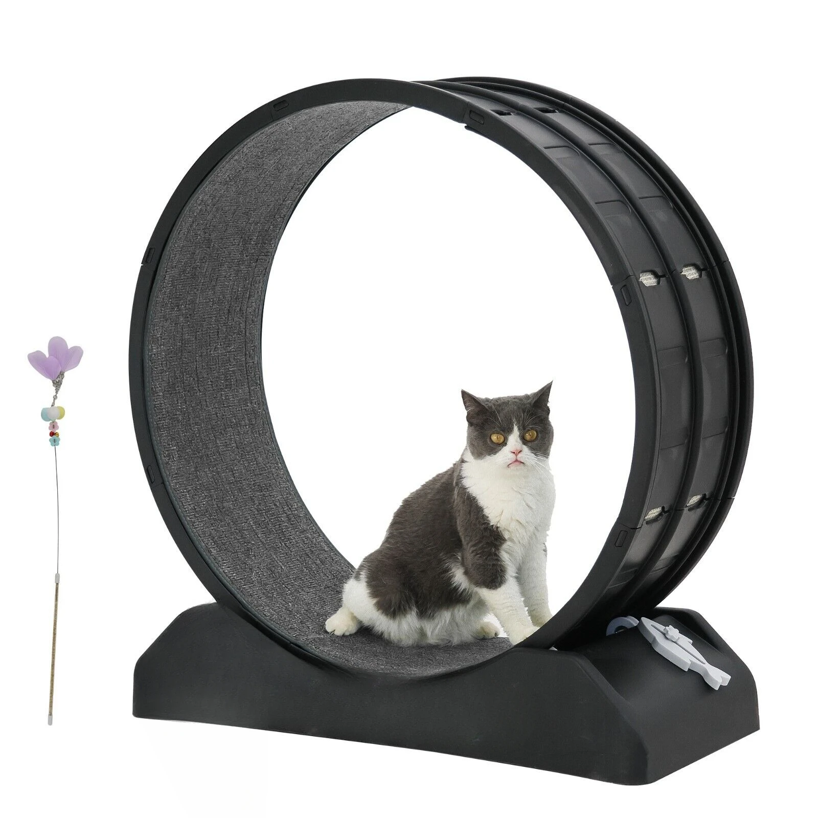 Cat Exercise Wheel Interactive Cat Treadmill Running Toy Pet Fitness Sport Wheel United States