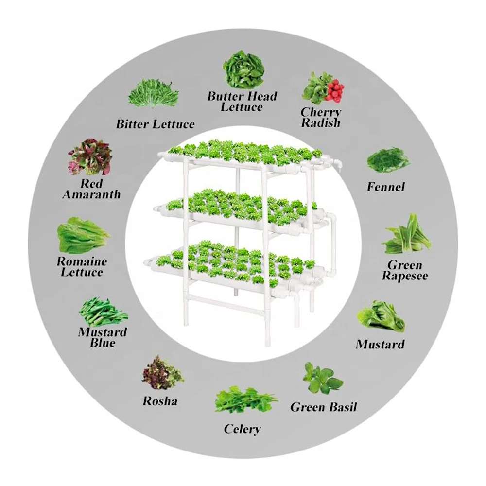 Dripper Controllers Kit  indoor Watering Irrigation System  Greenhouse Micro Drip Pumps Solar Hydroponics grow Equipment Drip