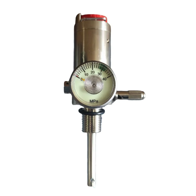 En1146 high-quality cylinder valve with built-in pressure gauge and medium pressure hose