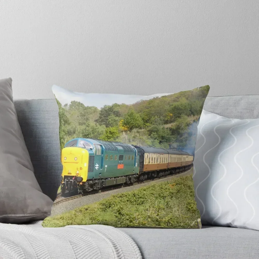 British Rail Deltic 55019 Throw Pillow Sofa Cushions Cover Plaid Sofa Pillow Cases Decorative Cover For Living Room pillow