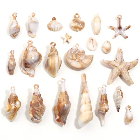6 best sales shells - №6