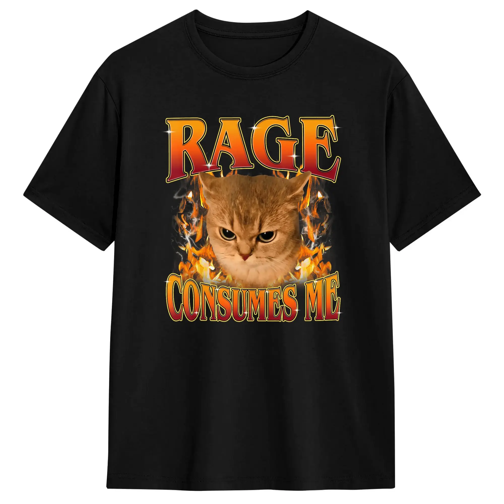 Rage Consumes Me Funny Silly Y2K Cat Meme T-Shirt Summer  Streetwear T Shirts Pure Cotton Popular Tshirt For Male Loose Clothes