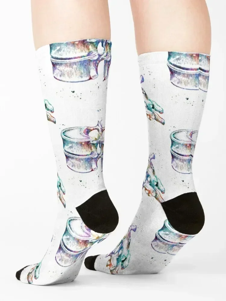 الفقرات الصدرية العمود الفقري تشريح الجوارب تسلق الثلوج أحذية فاخرة الصبي الطفل الجوارب النسائية