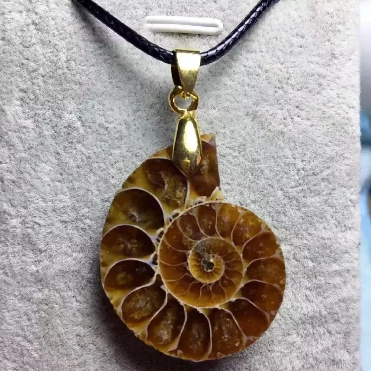 

Natural Ammonite Stone Pendant Charms Lucky Fortune Necklace for Women Men Jewelry with String