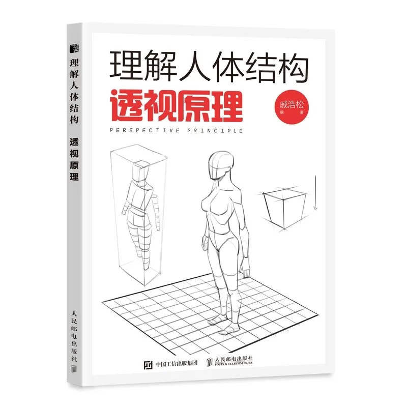 Human Body Structure & Perspective Drawing Tutorial, Clear Art Principles Explanation, Step-by-Step Guide for New Artists