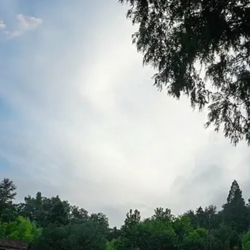 

JX Servo PDI HV6235MG 35KG 8 4V 016Sec High Precision Metal Gear Digital Servo RC Cars Robot Arms Aircrafts Other Applications