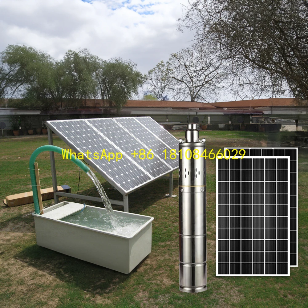 

Dc Solar Water Pump Set for Agriculture Deep Well Custom Borehole Powered 48v 3 Inch