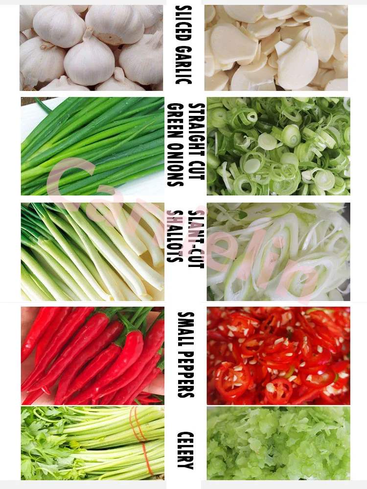 เกาหลี Commercial Chopper กระเทียม Slice Scallion พริกไทยแตงกวา Slice Leek Pleurotus Eryngii Multifunctional Rapid Slicer